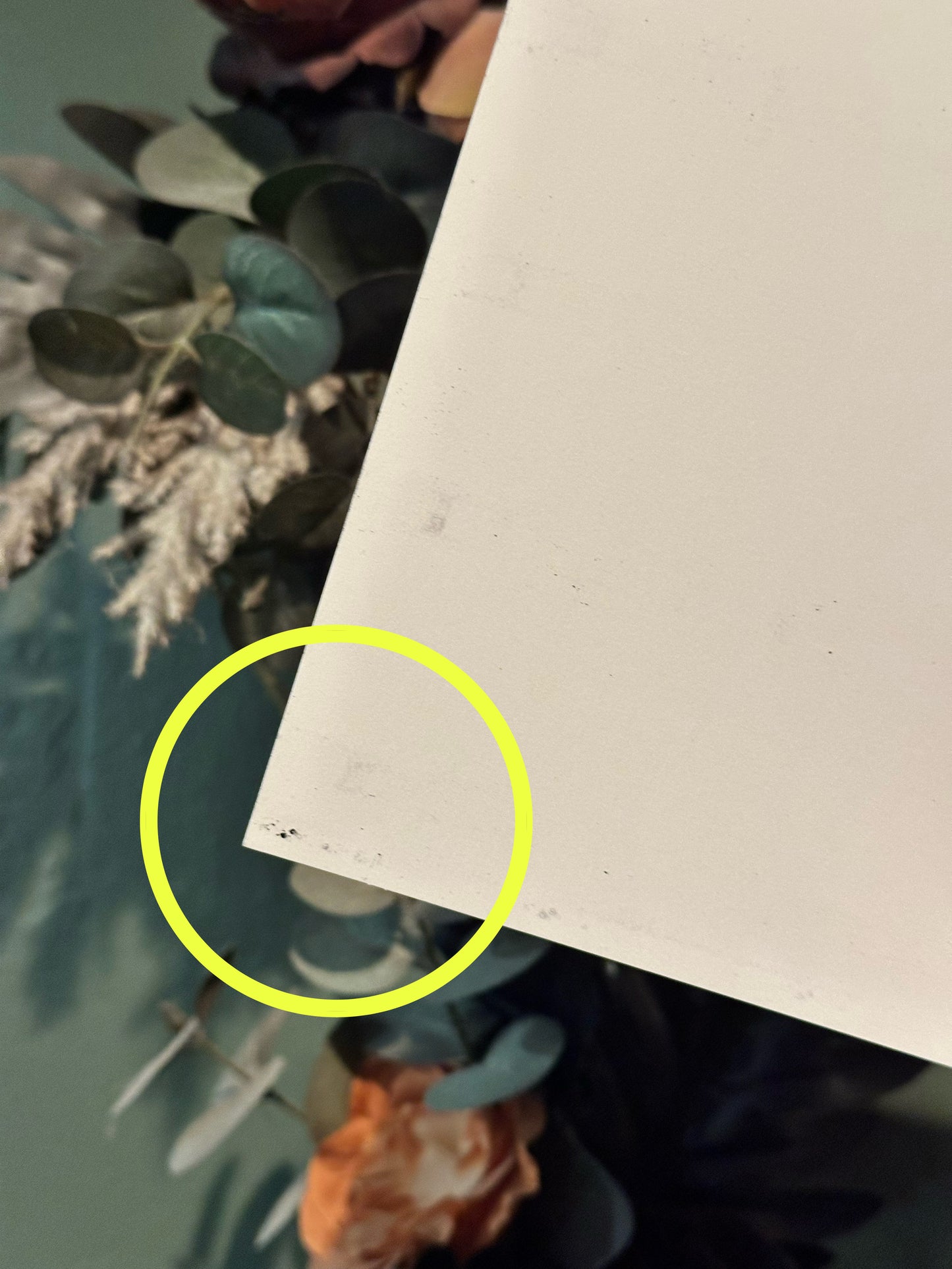 B-GRADE: Creature Valentines